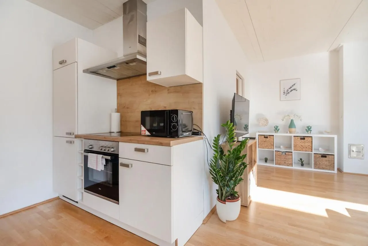 Helles, Neues Dg Apartment Mit Blick Zum Donauturm Vienna 0*,